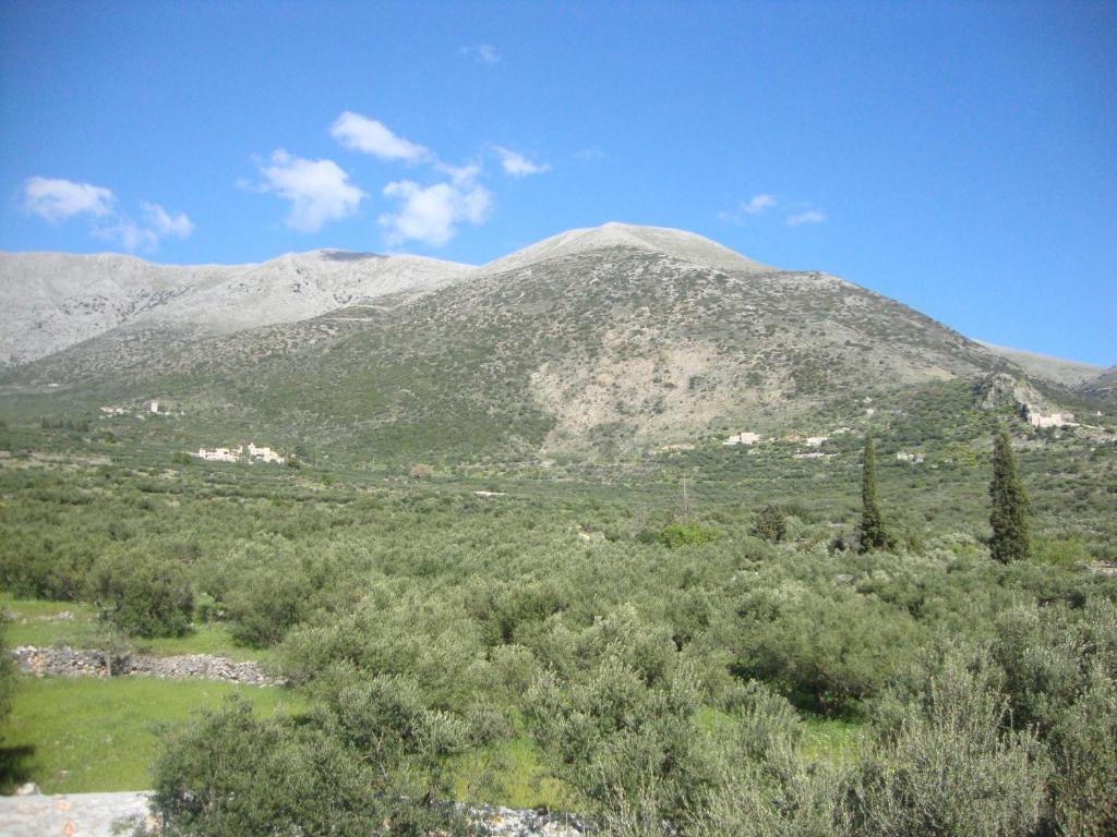 Kafiona Guesthouse Pírgos Dhiroú Dış mekan fotoğraf